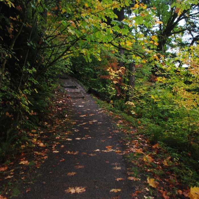 Near Lake Fenwick Trail