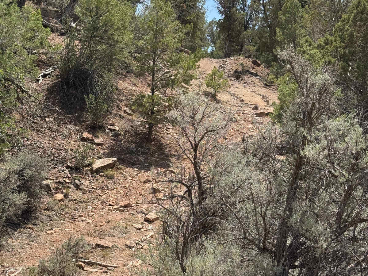 BLM 8457C photo 3
