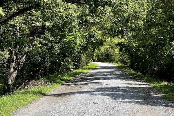 Old Rail Road 