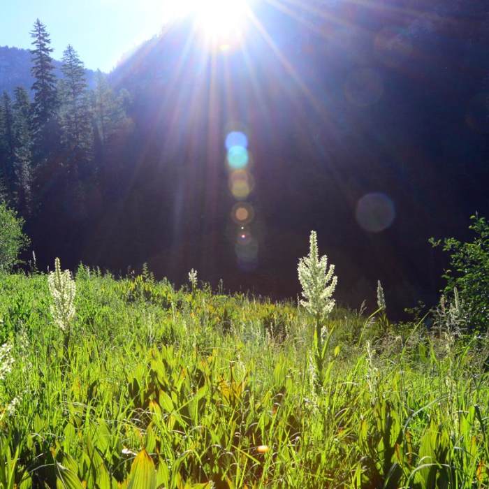 Near Echo Lake and Traverse Lake