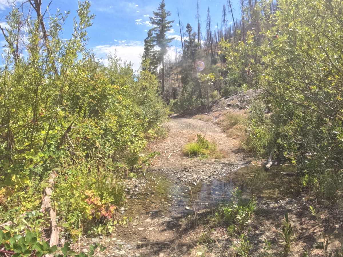 West Branch - FS 18N31D trail photo
