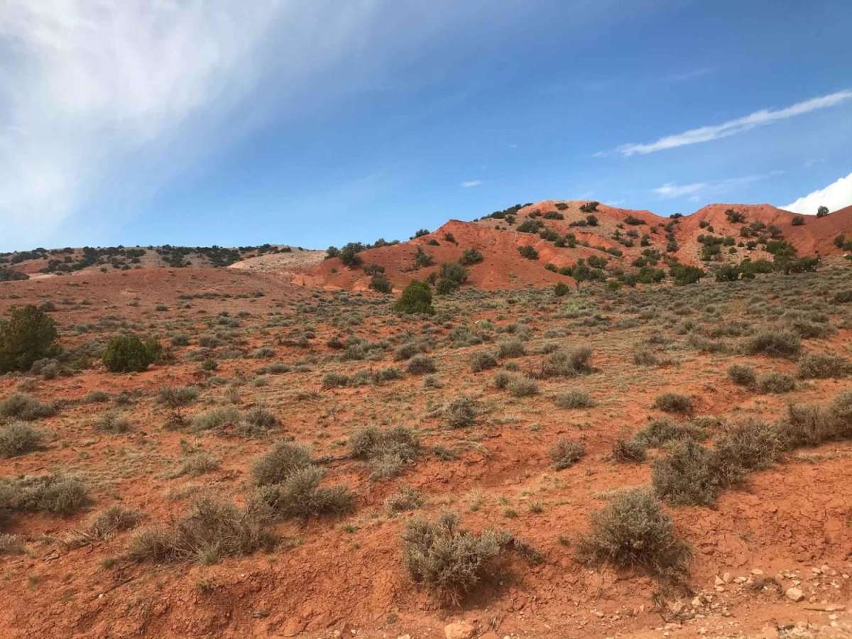 Crooked Creek Road photo 2