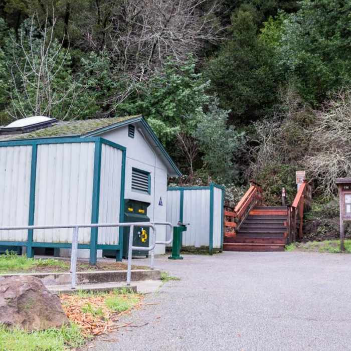 Near Branciforte Creek Trail Hike