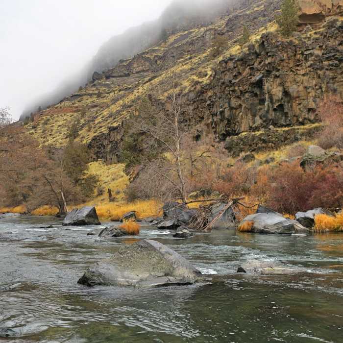 Near Otter Bench Loop Hike