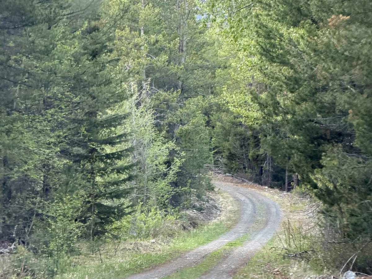 Gwyneth Lake Provincial Park photo 2