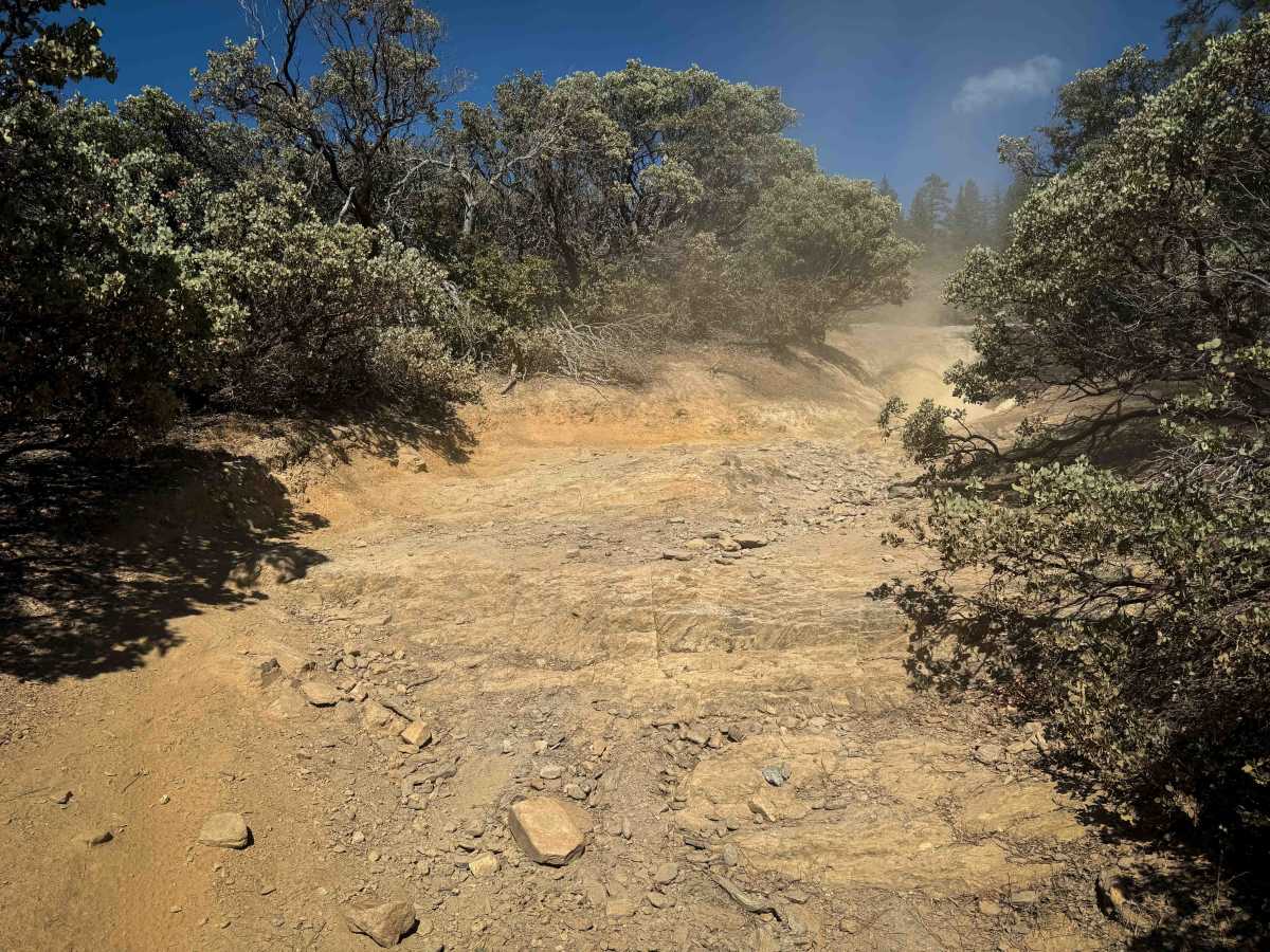 Trail 1 (Advanced) (11E23)  photo 3