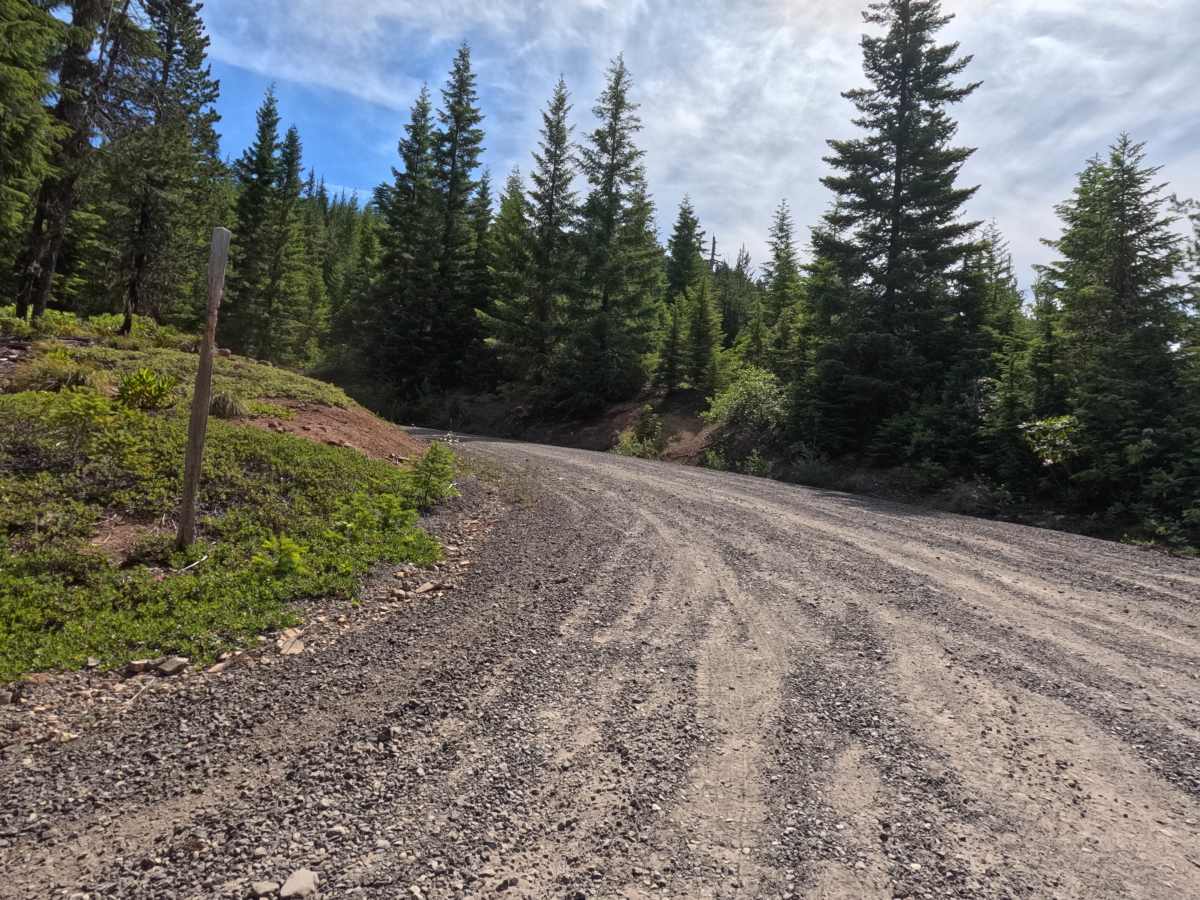 FS 6370-220 trail photo