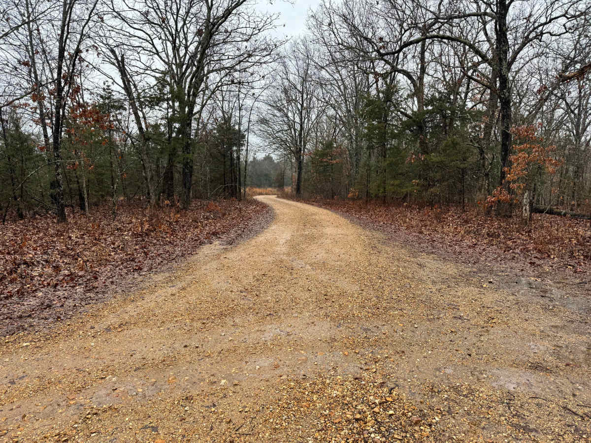FS 1727 trail photo