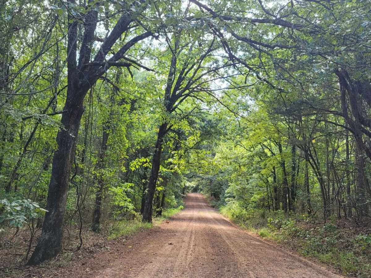 Muddy Creek WMA photo 4