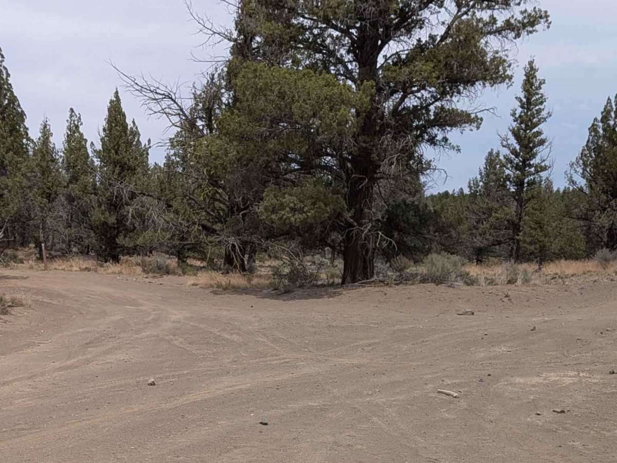 Cline Buttes OHV Trail 21 trail photo