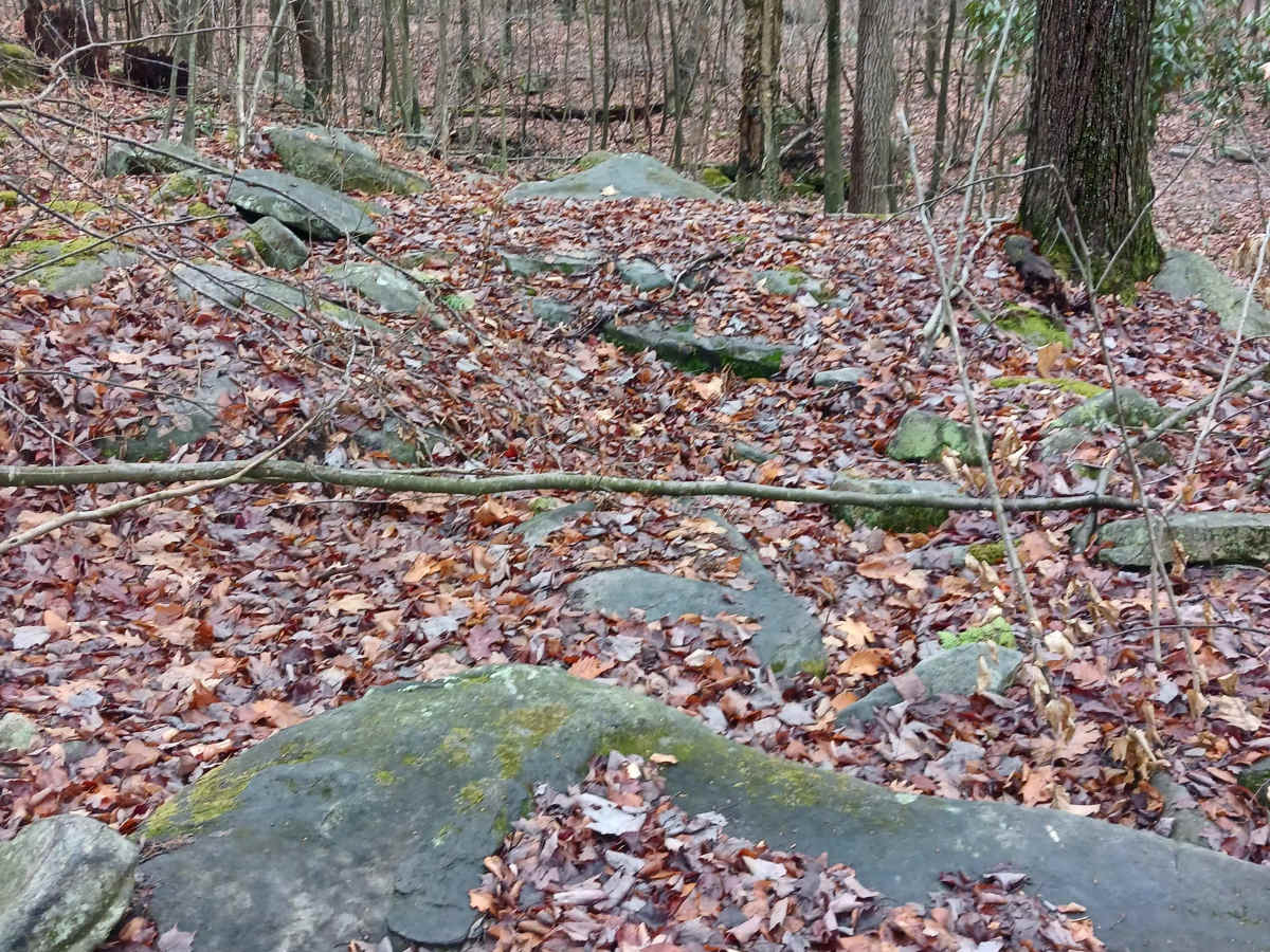 OHV 28 - Rock Run Recreation Area photo 3