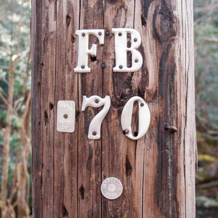 Near Catawba Falls Near Catawba Falls