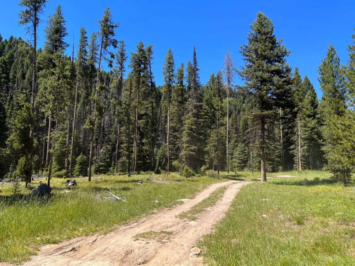Moose Creek & Trail 40 photo 5