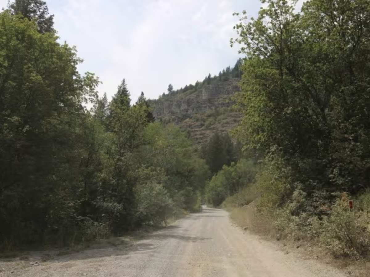 North Fork Cowley Canyon-Herd Hollow - FS 20047 photo 5