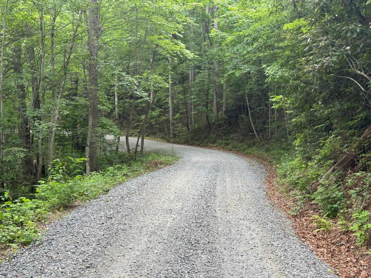 Cove Creek Road - FS 225 photo 5