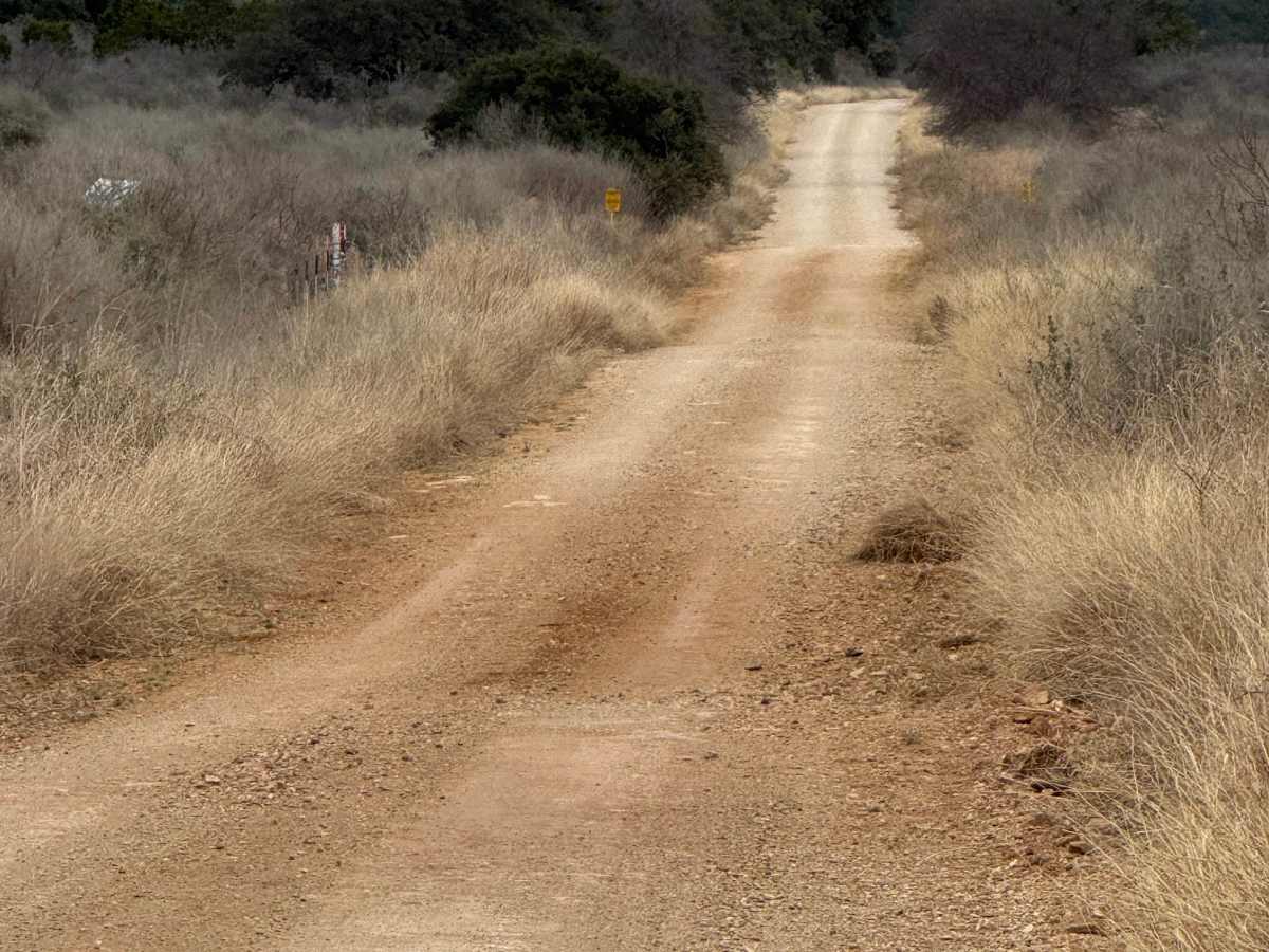 Threadgill Road  trail photo