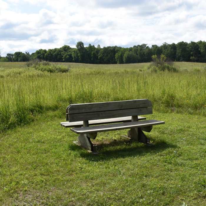 Near Annie Battle Lake Trail Near Annie Battle Lake Trail
