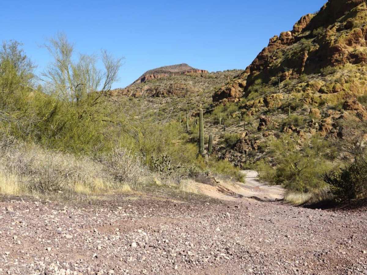 Willow Springs OHV trail trail photo