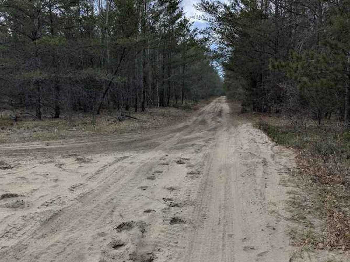 Owens Pond photo 4
