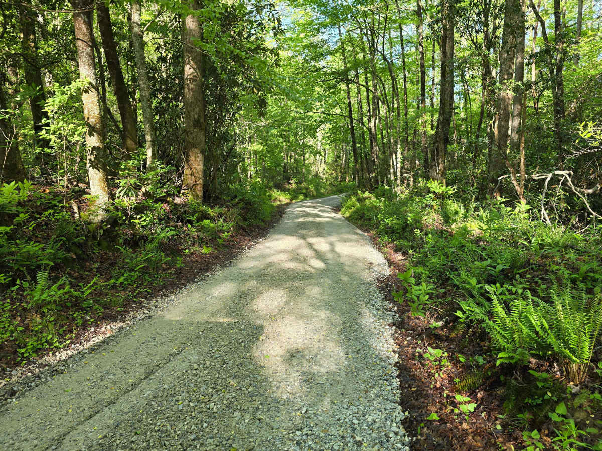 Porterfield Gap Road photo 4