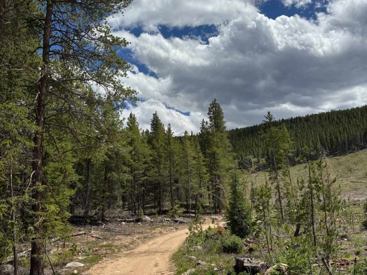 Sellar Lake Road photo 3