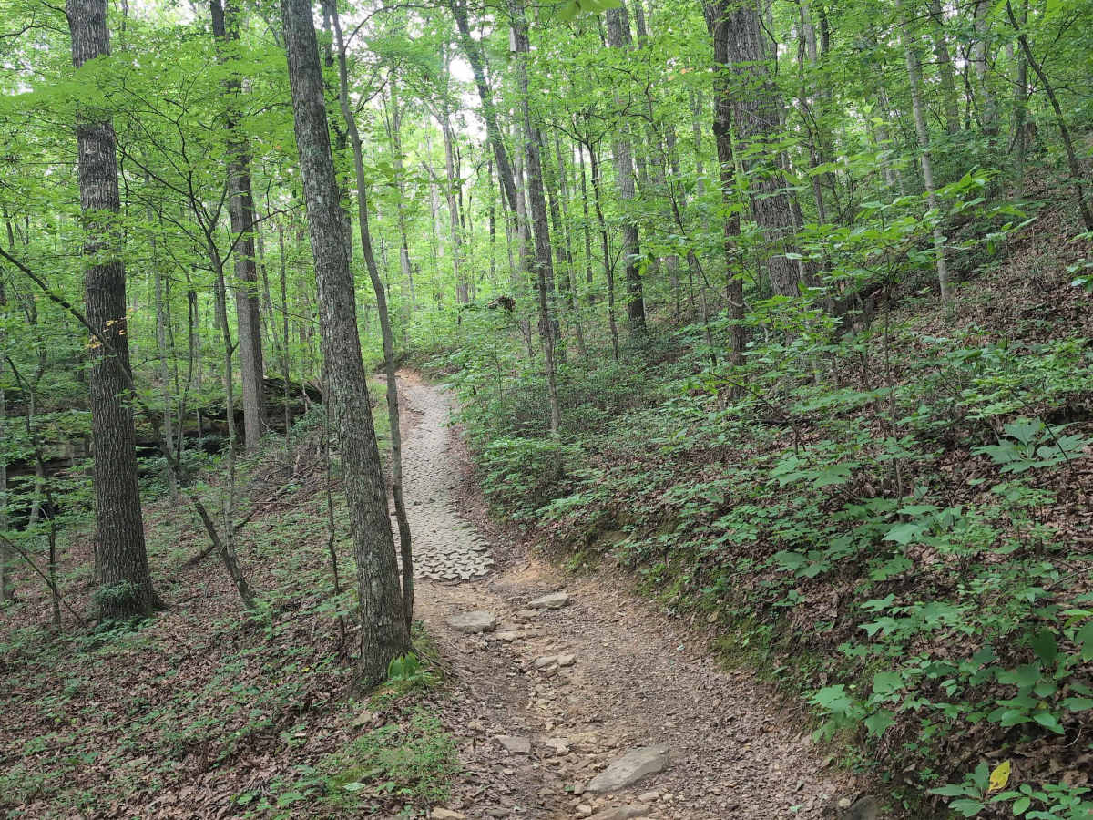Renfro Loop photo 5