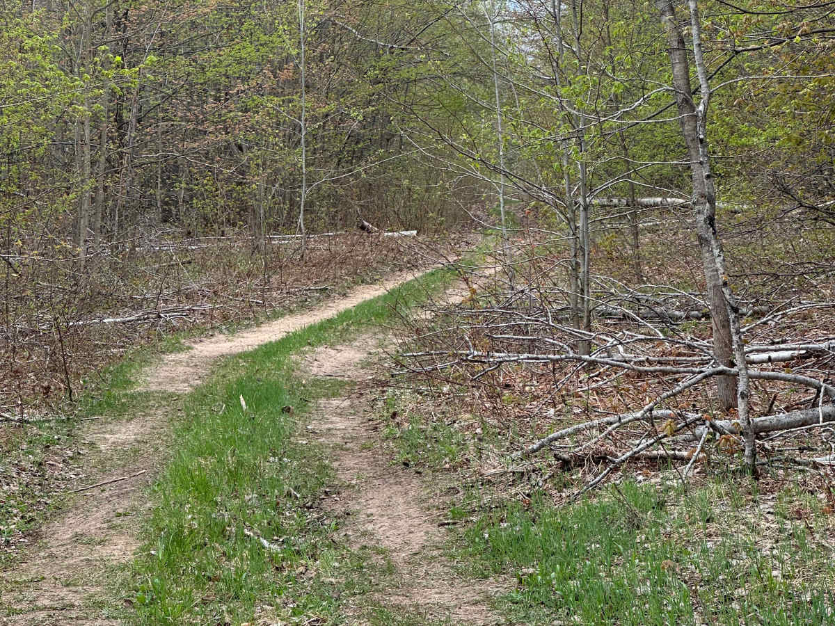 Mancelona Road Spur photo 6