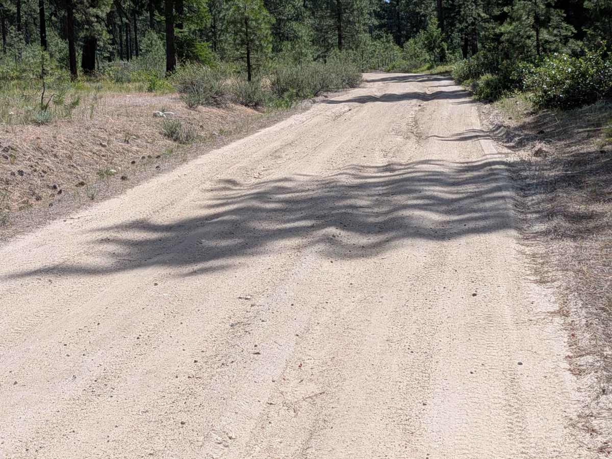West Fork Rock Creek Road photo 4