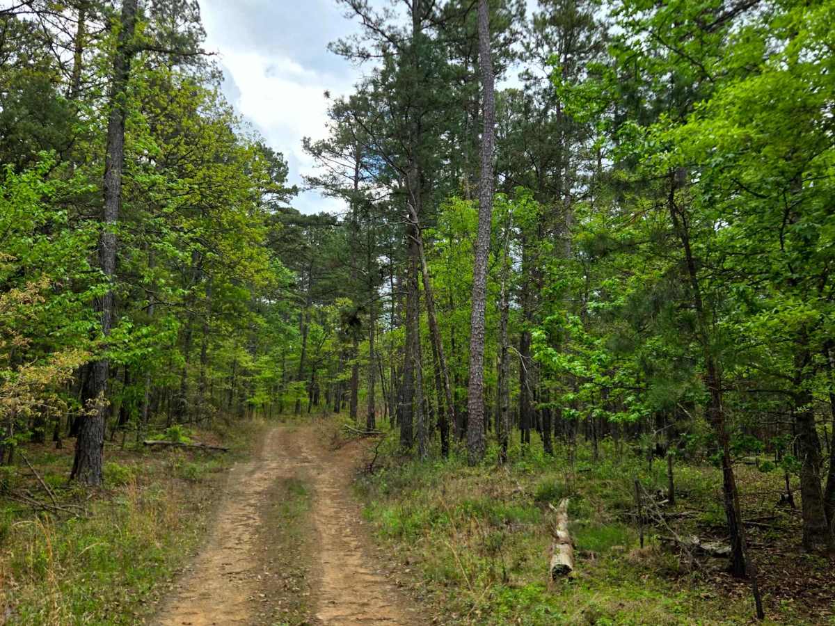 Jackson Ridge photo 2