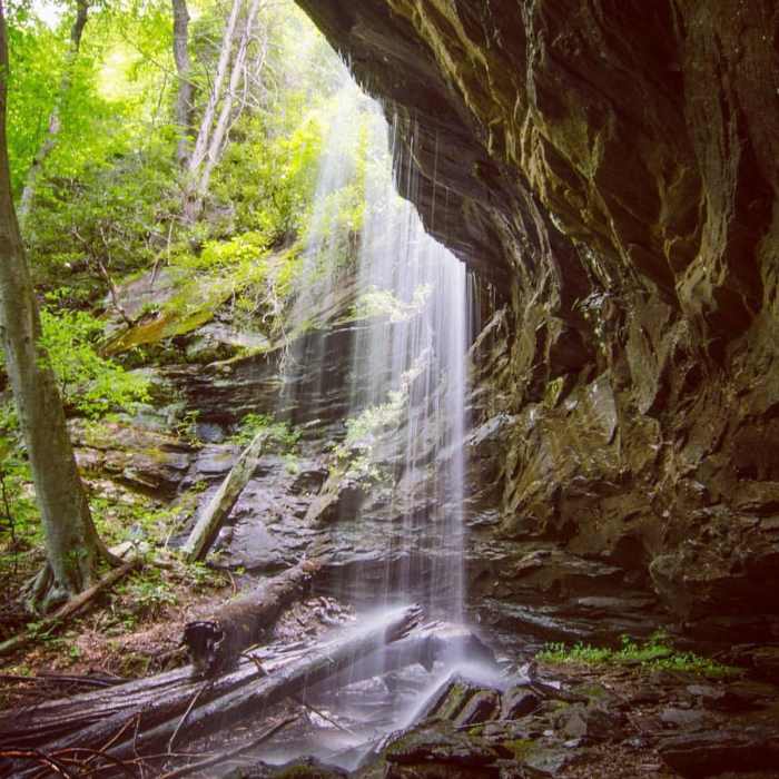 Twin Falls part deux. Near Looking Glass Falls Stairway