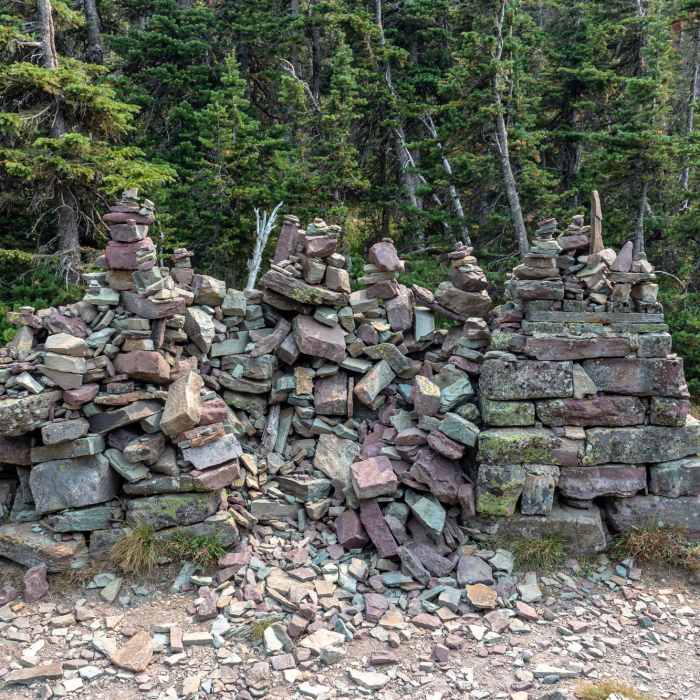 Near Swiftcurrent Lookout