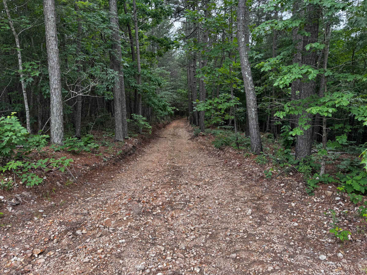 Cap Fork photo 5