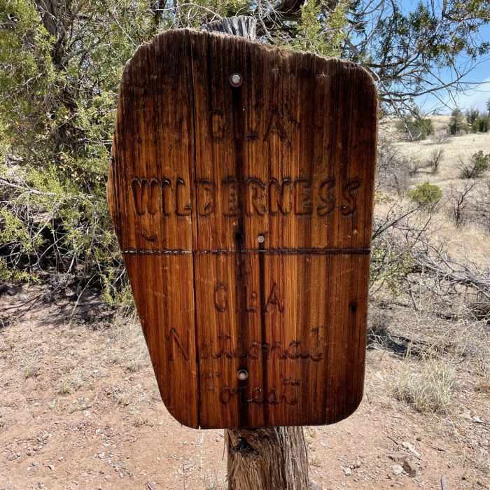 Near Little Bear Canyon Hike