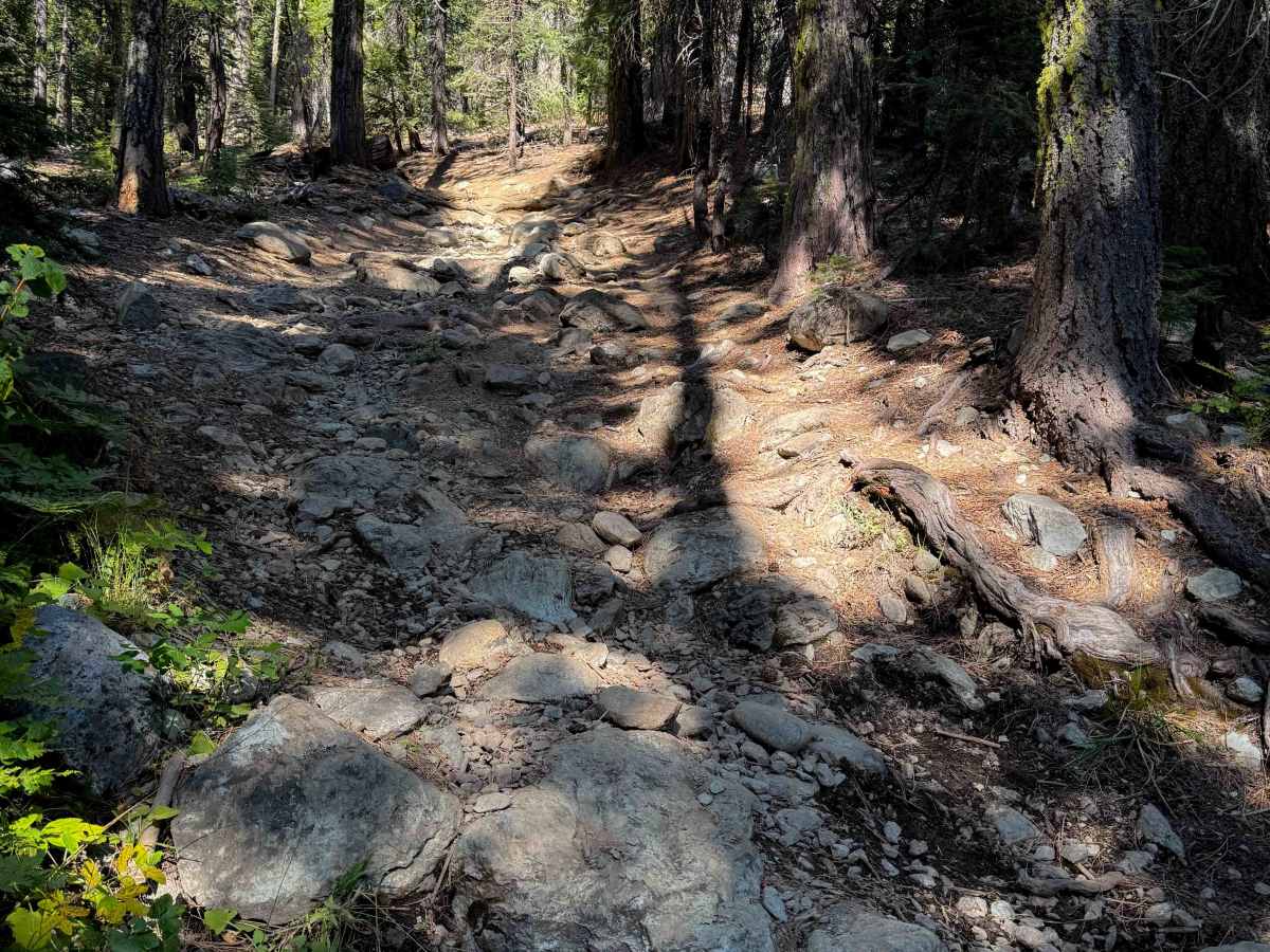 Pauley Creek  photo 2