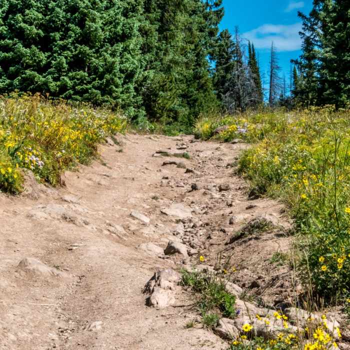 Near Rabbit Ears Peak