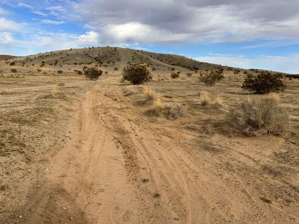 Romp Route trail photo