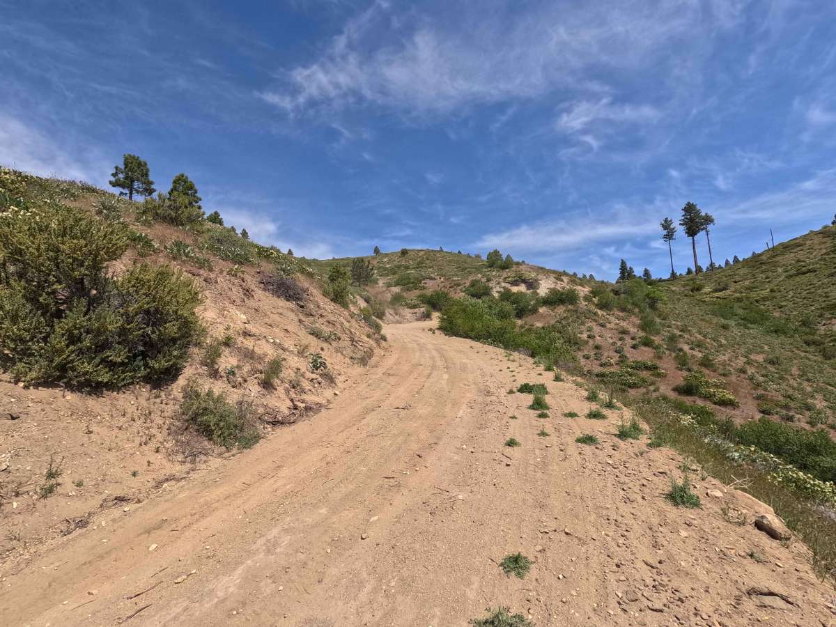Oklahoma Gulch Road photo 3