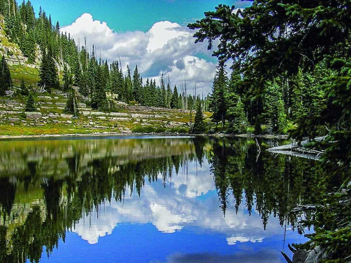 Adams Lake photo 5
