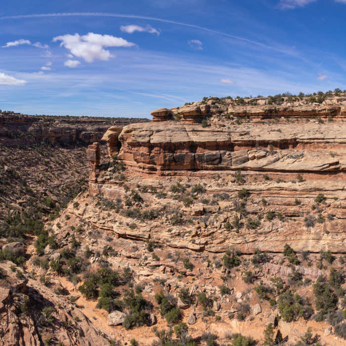 The first bend in Slickhorn Canyon. Near Slickhorn Canyon