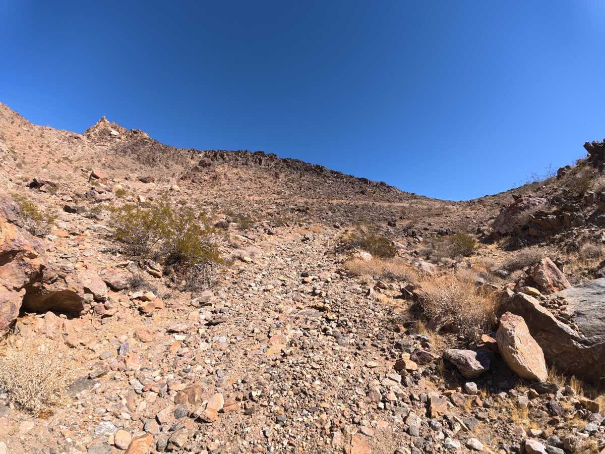 BLM 0M6602 photo 3