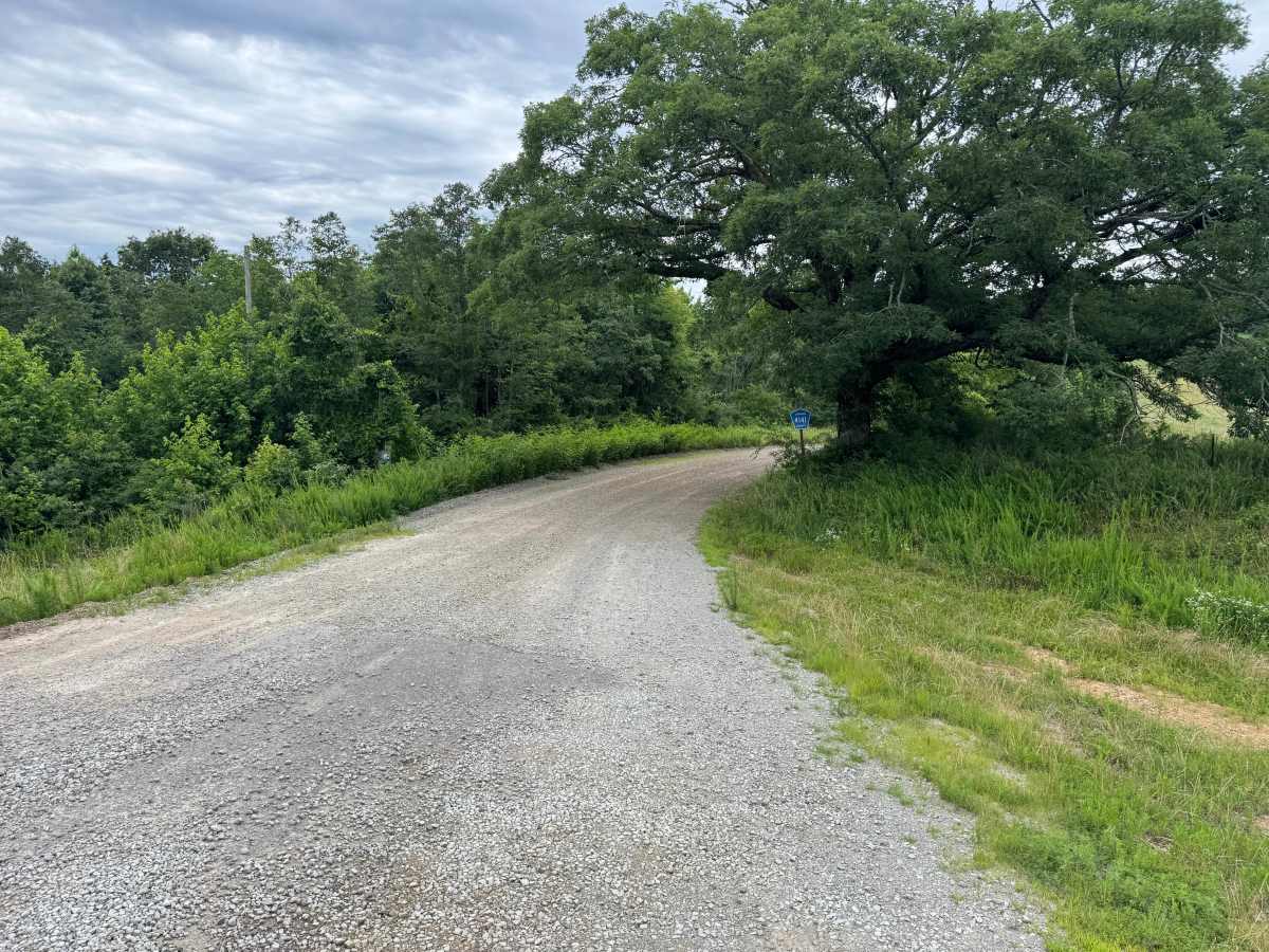 County Road 4141 photo 3