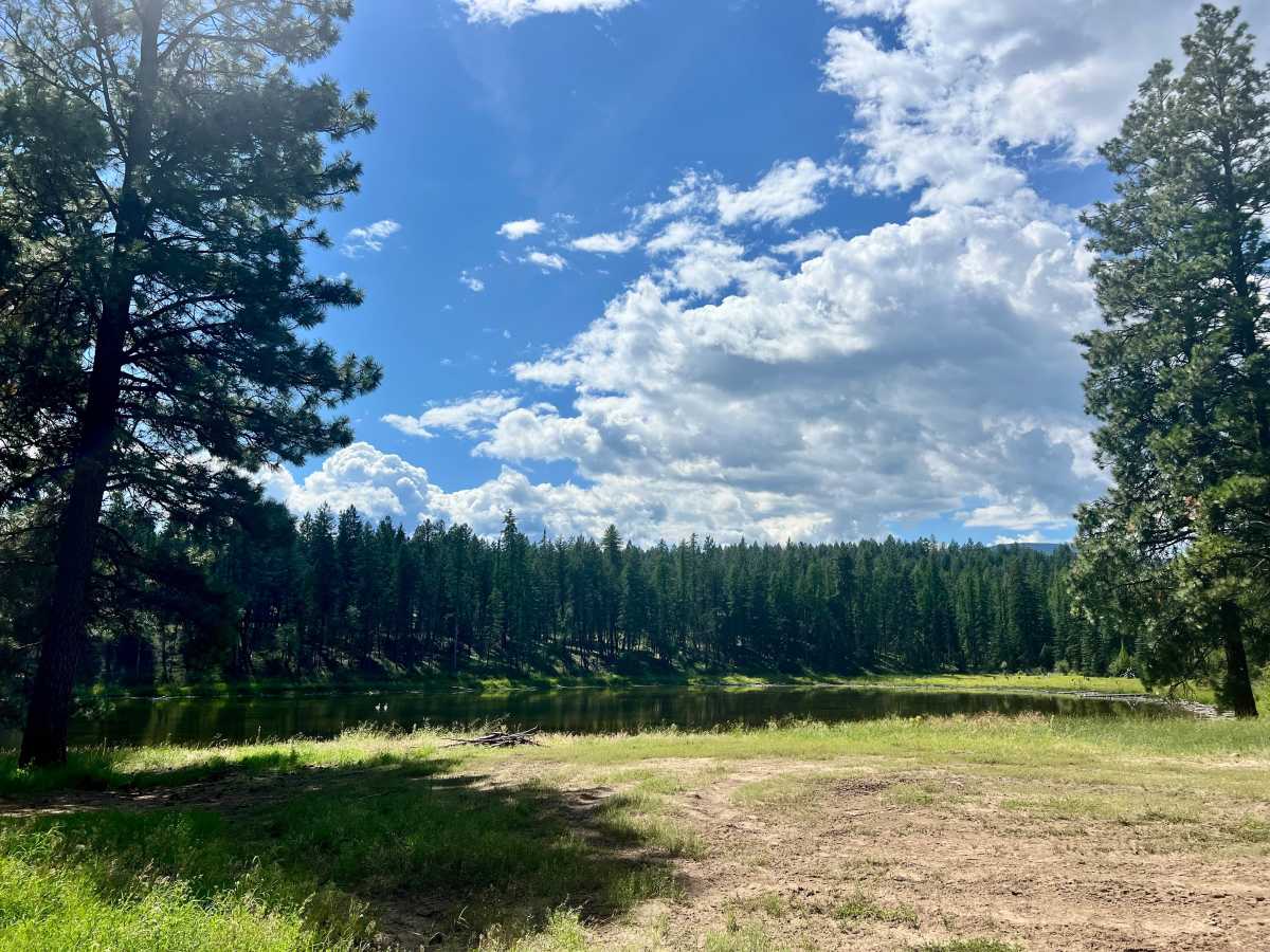 Mud Lake Loop photo 5