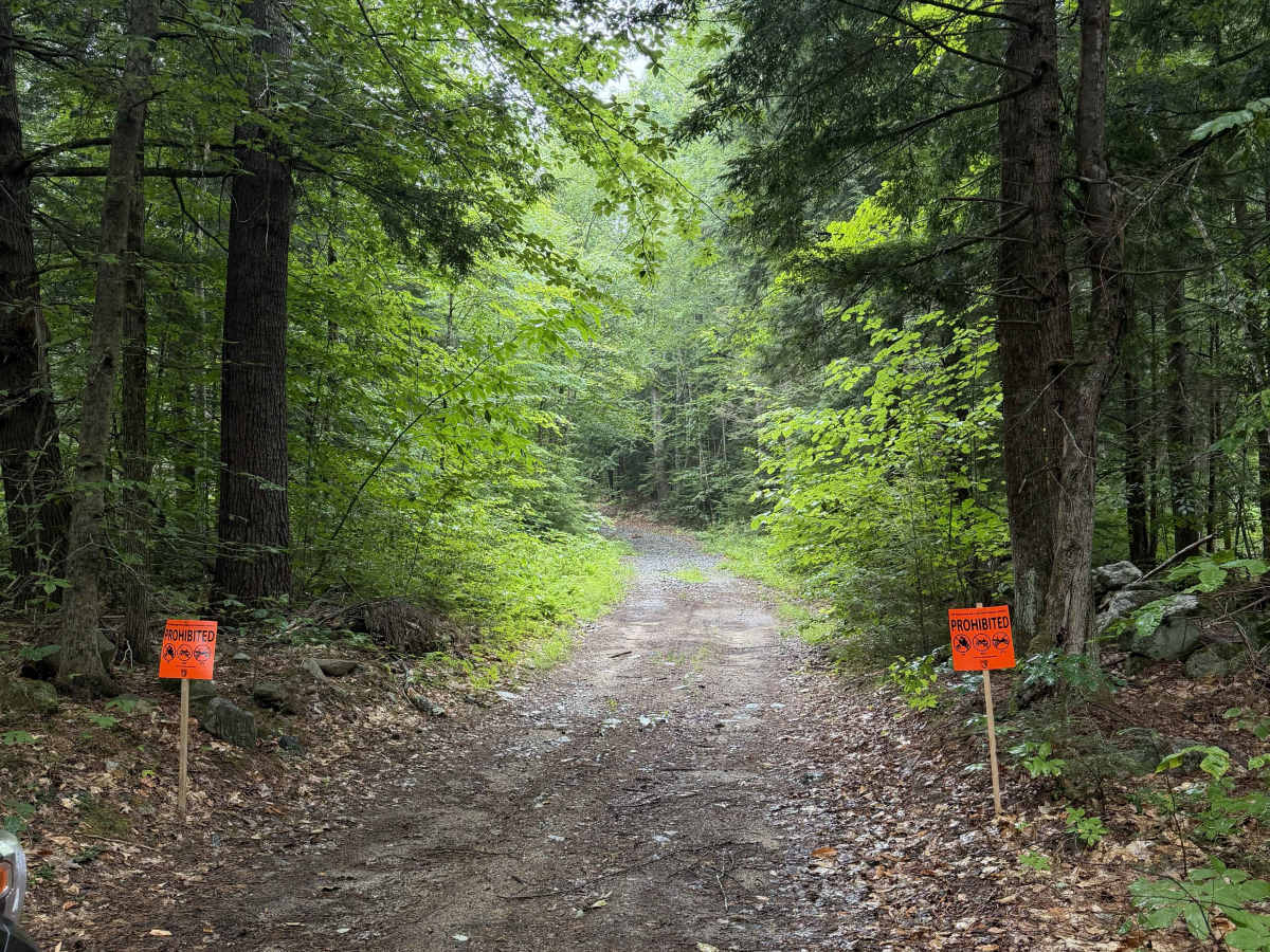 Bound Tree Road trail photo