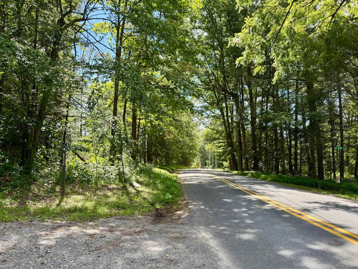 Betsy Road photo 2