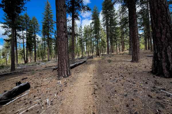 Trail 19  