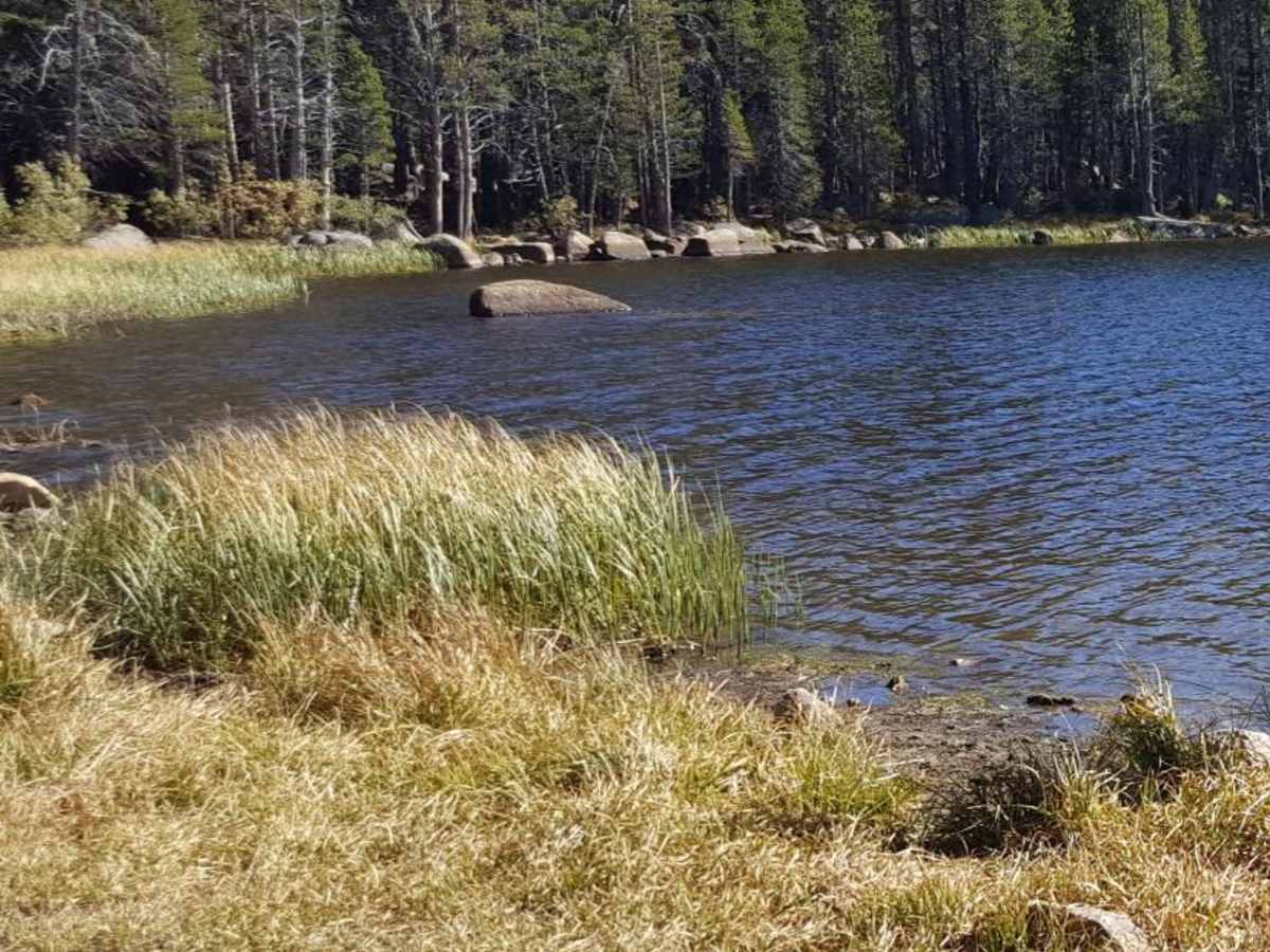Burnside Lake Road - 31019 photo 3