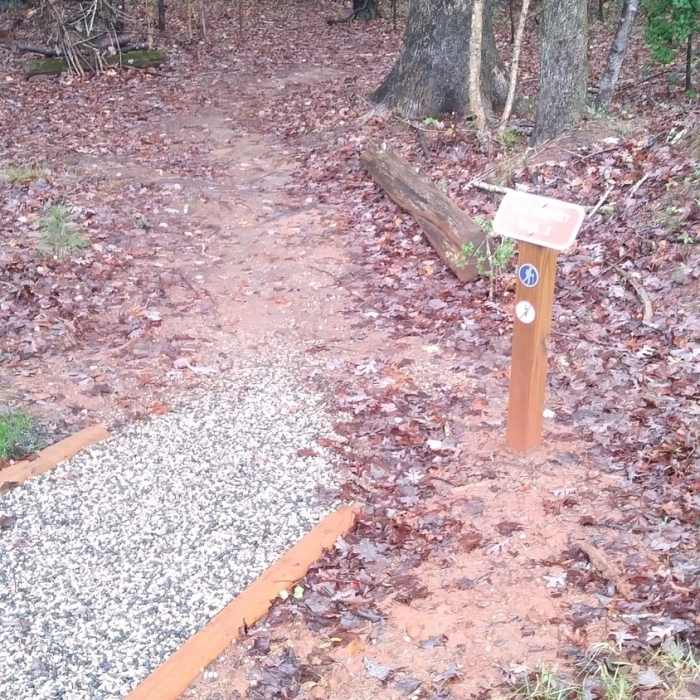 Near Rock Point Trail