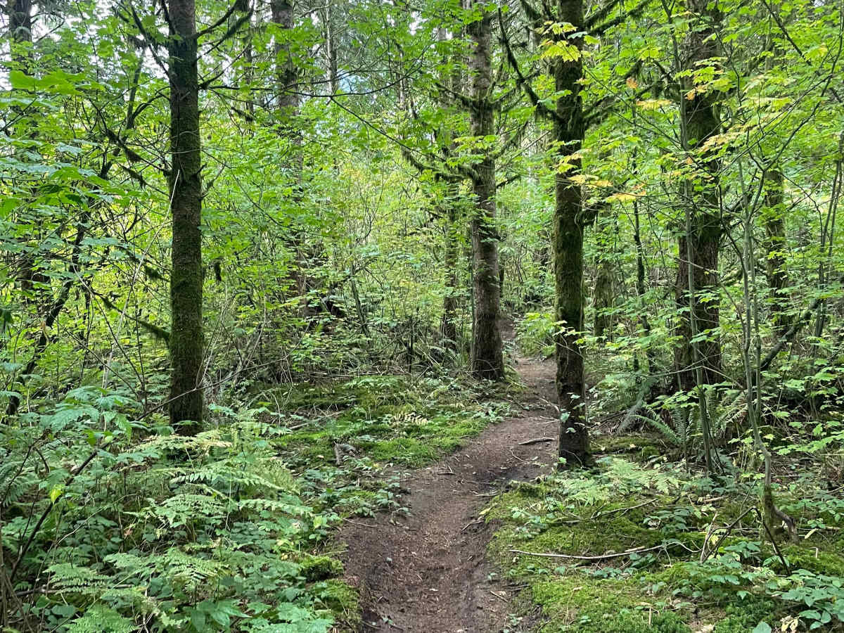 Green Room trail photo
