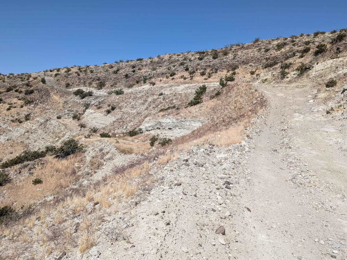 El Paseo Road photo 2