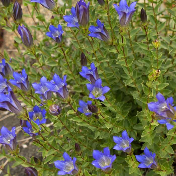 Near Lake Anna via Long Canyon